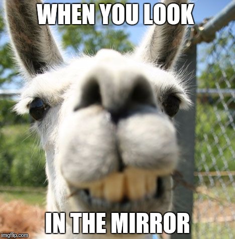 LLAMAS