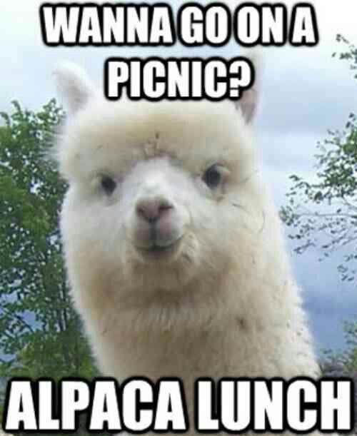 LLAMAS