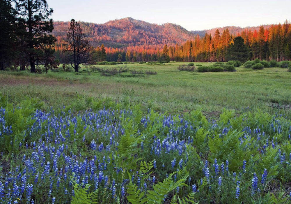 Yosemite 13