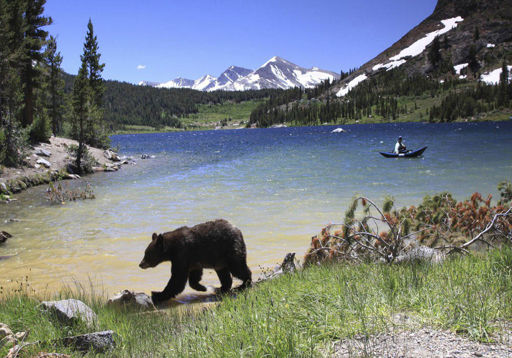 yosemite 21