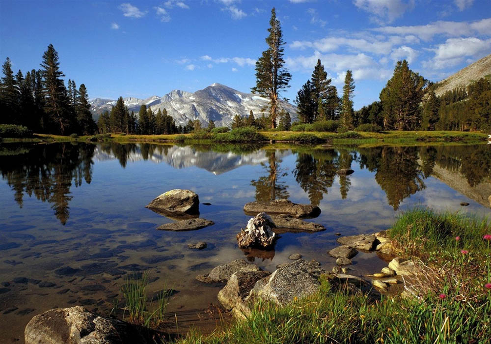 Yosemite 23