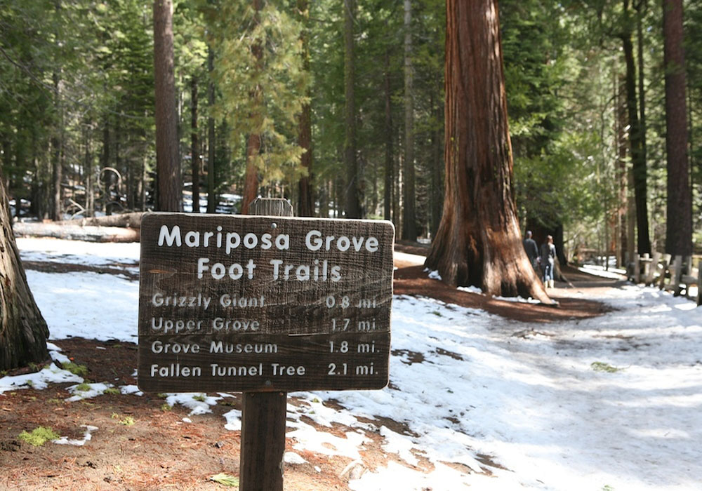 Yosemite 7