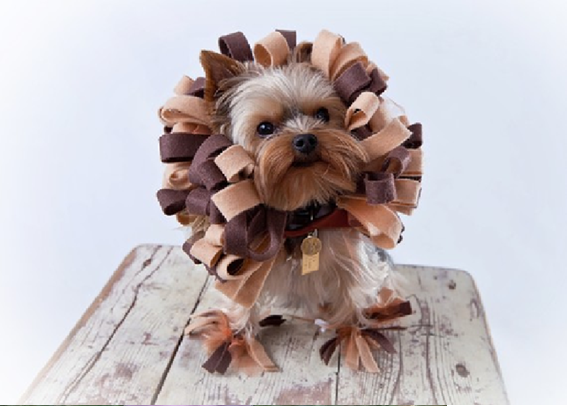Image credit: www.boredpanda.com