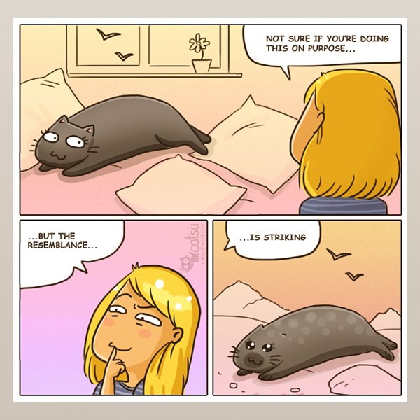 Image credit: www.catsuthecat.com