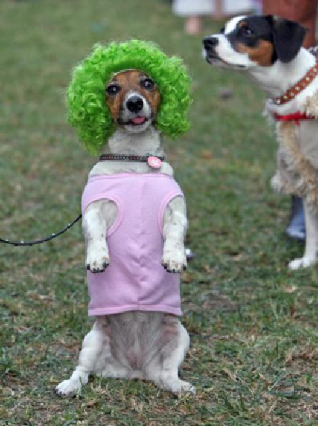Image credit: www.boredpanda.com