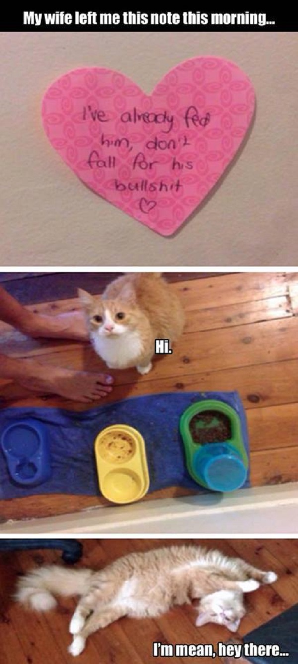 Image credit: Cat Shit