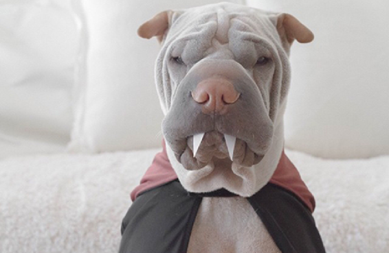 Image credit: www.boredpanda.com