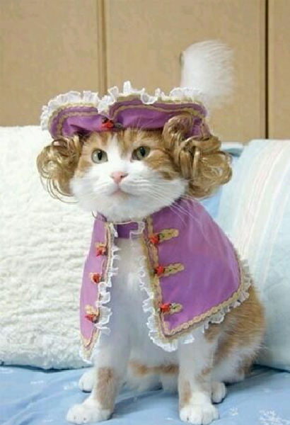 Image credit: www.boredpanda.com