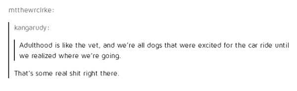 tumblr posts