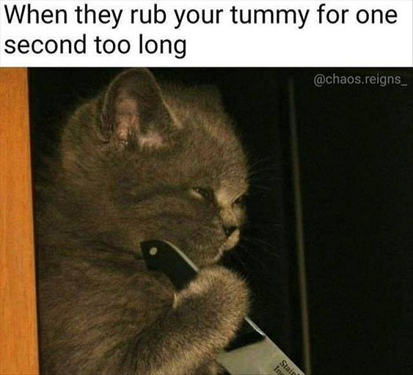 Image credit: Cat Shit