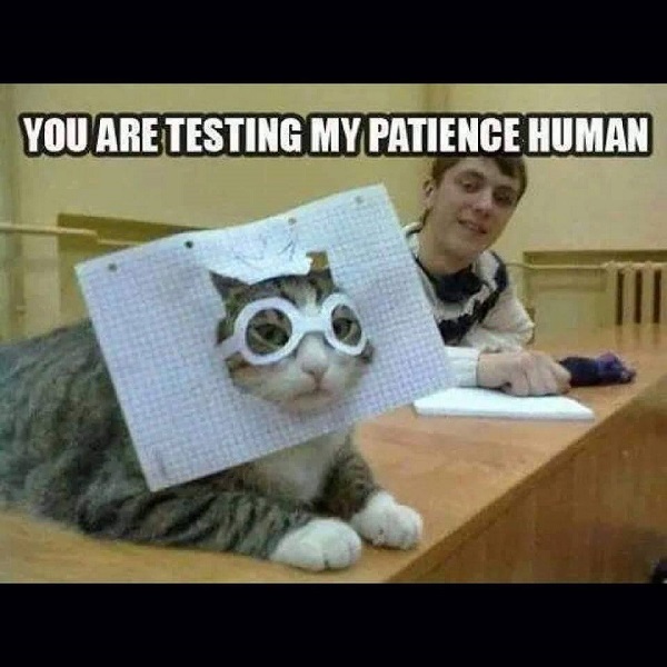 Image credit: Cat Shit