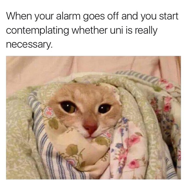 Image credit: Student Problems