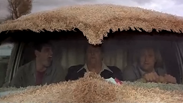dumb and dumber