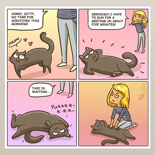 Image credit: www.catsuthecat.com