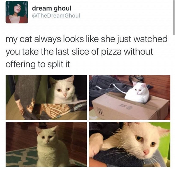 Image credit: Cat Shit