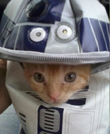 Image credit: www.boredpanda.com