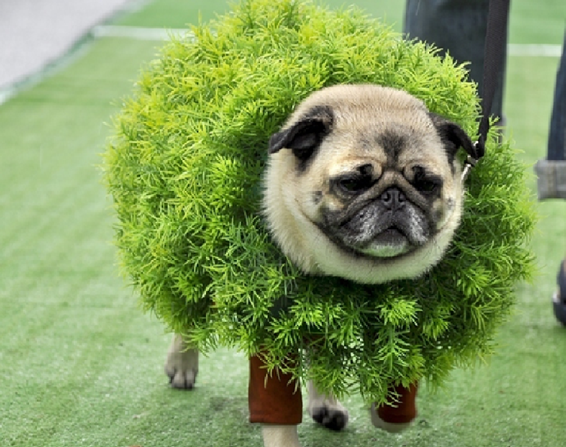 Image credit: www.boredpanda.com