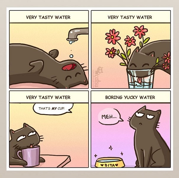 Image credit: www.catsuthecat.com
