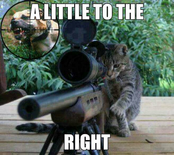 Image credit: Cat Shit