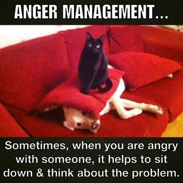 Image credit: Cat Shit