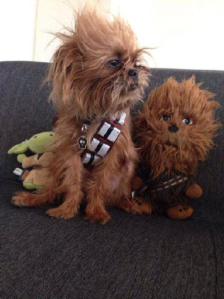 Image credit: www.boredpanda.com