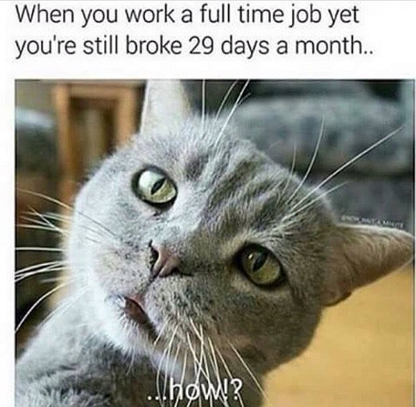 Image credit: Cat Shit
