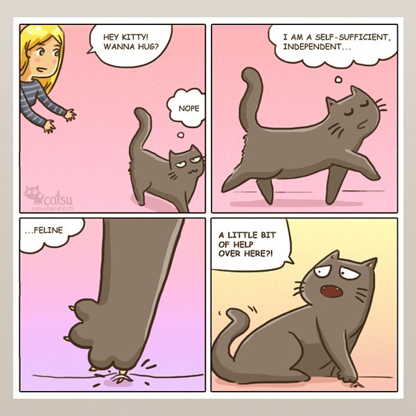 Image credit: www.catsuthecat.com