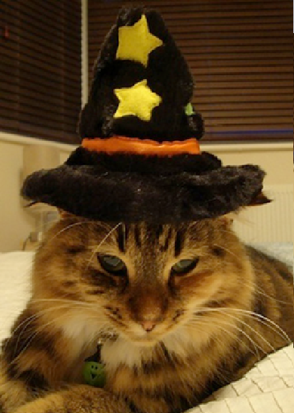 Image credit: www.boredpanda.com