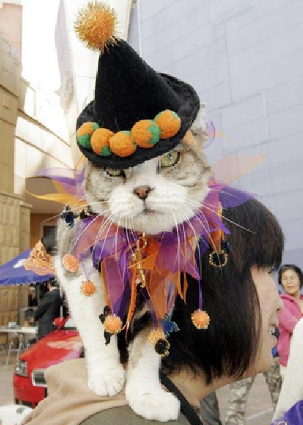 Image credit: www.boredpanda.com