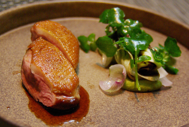 Best Latin American Restaurants