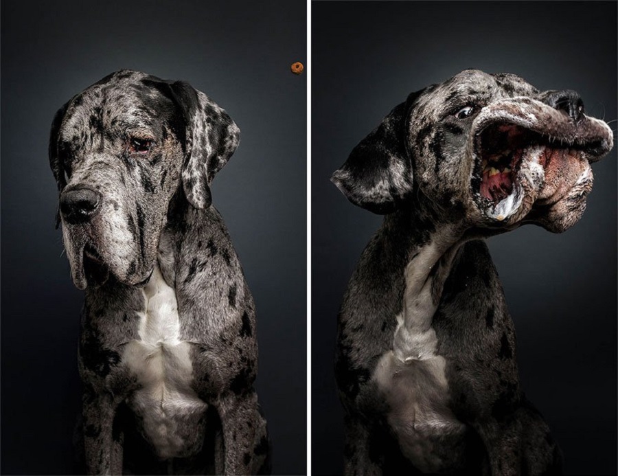 Image credit: Christian Vieler