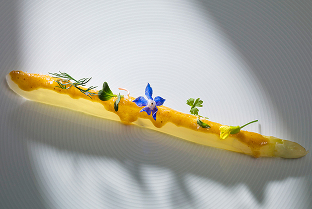 Best Latin American Restaurants