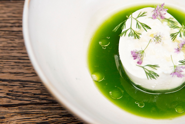 Best Latin American Restaurants
