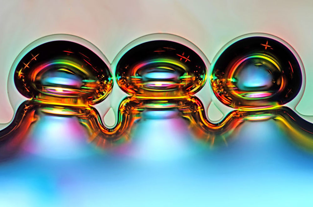 nikon6