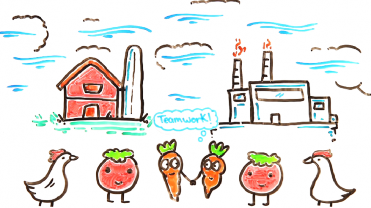 organic food