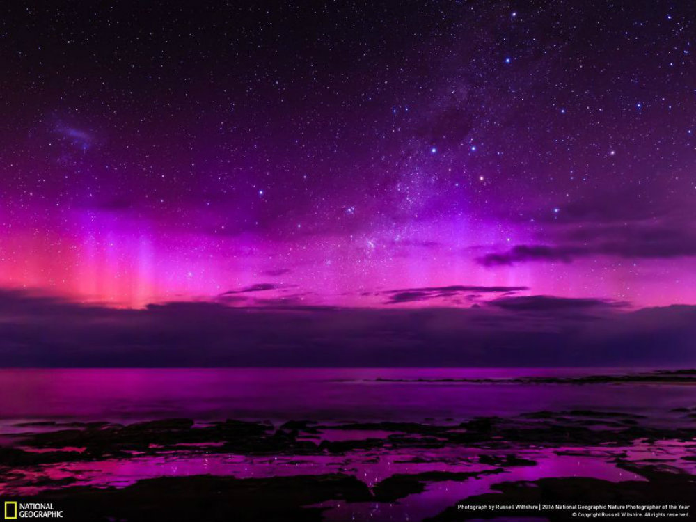 Image credit: Russell Witltshire