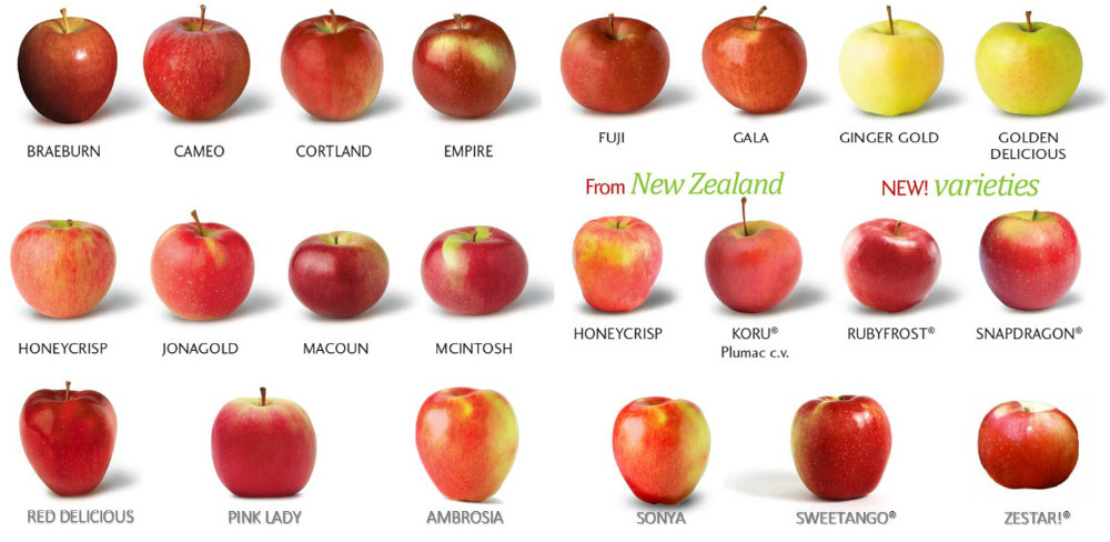 Image credit: www.newyorkapplesales.com