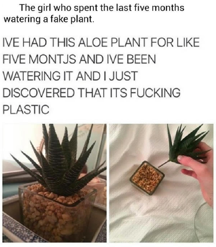 Image Credit: Just Sarcasm