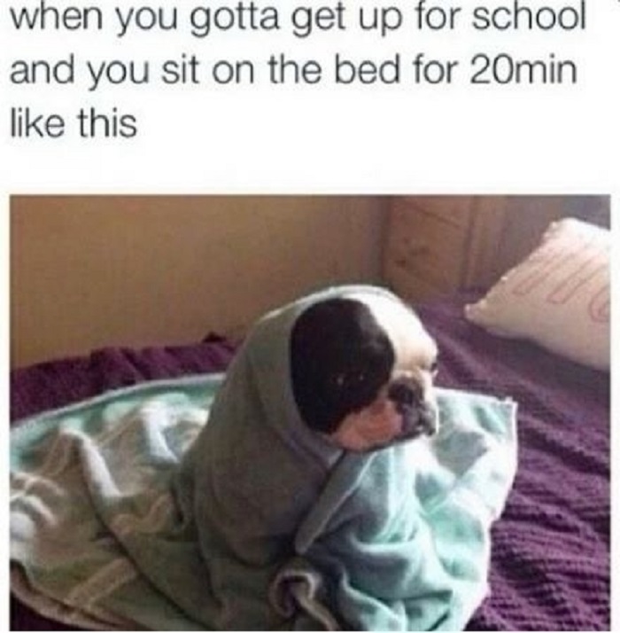 Image Credit: Buzzfeed