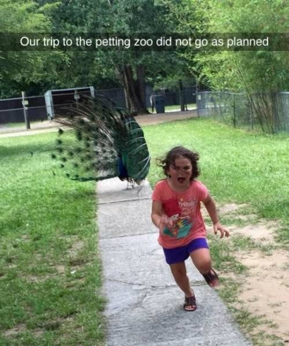 Image credit: www.buzzfeed.com