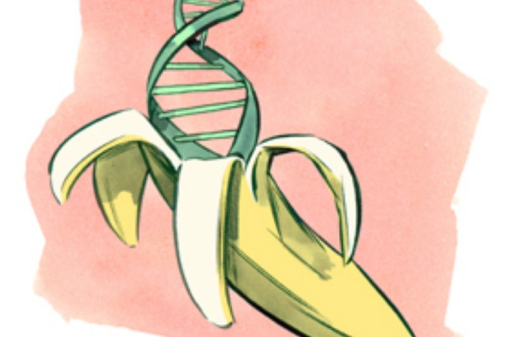 Image credit: www.scientificamerican.com