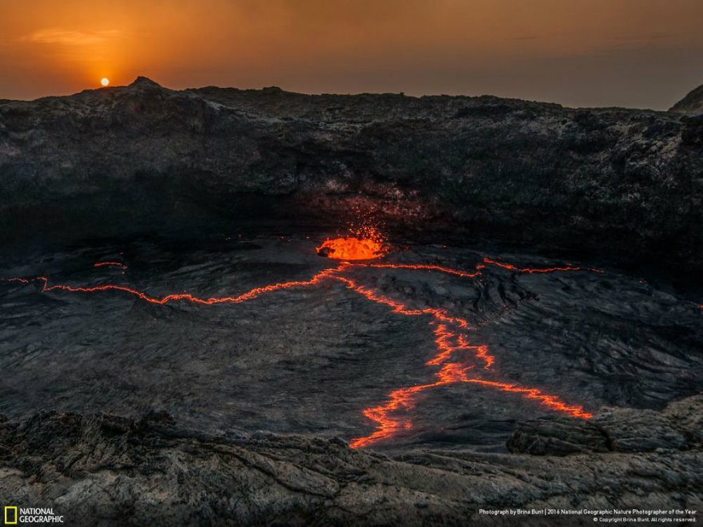 Image credit: Brina Bunt