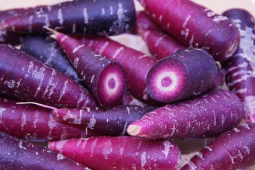Image credit: www.carrotmuseum.co.uk 