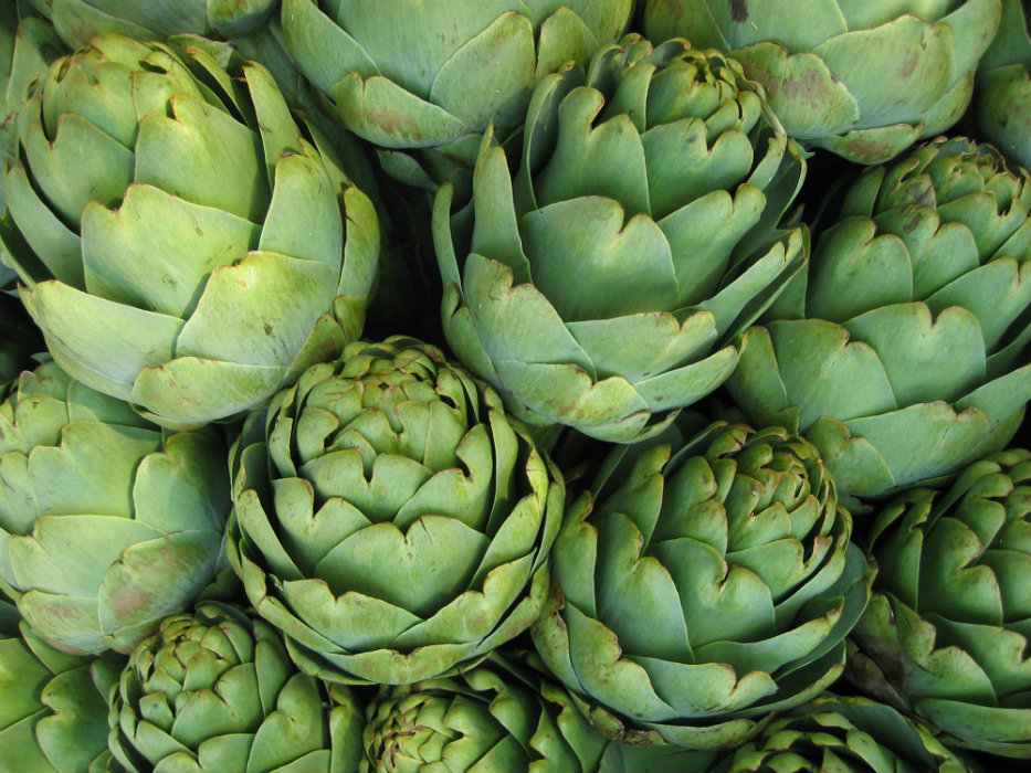 Image credit: www.artichokes.org 