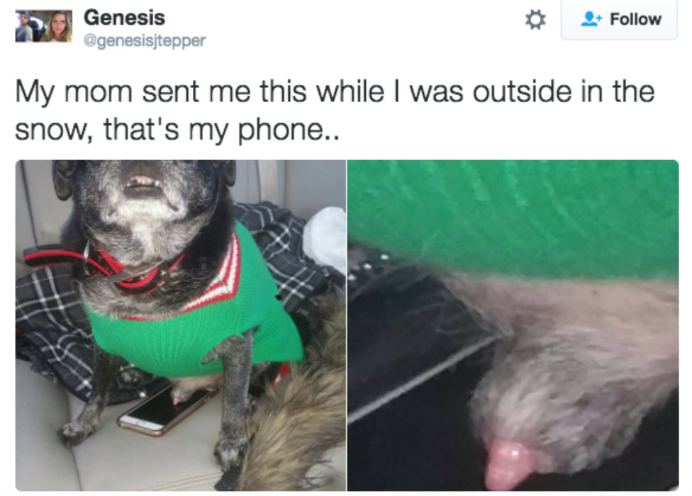 Image credit: www.buzzfeed.com