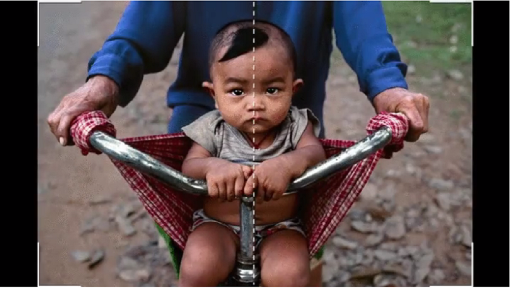 Image credit: www.boredpanda.com