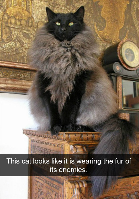 Image credit: Snapchat