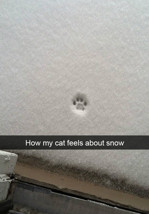 Image credit: Snapchat