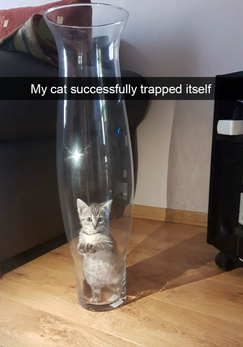 Image credit: Snapchat