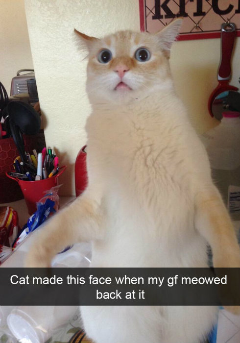 Image credit: Snapchat
